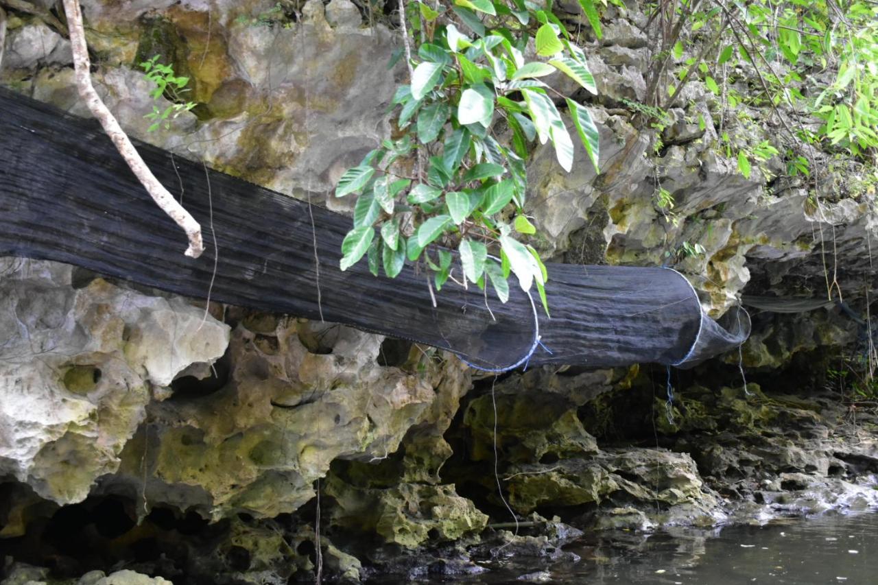 Kampoeng Karst Rammang Rammang Guest House Kasijala Eksteriør bilde