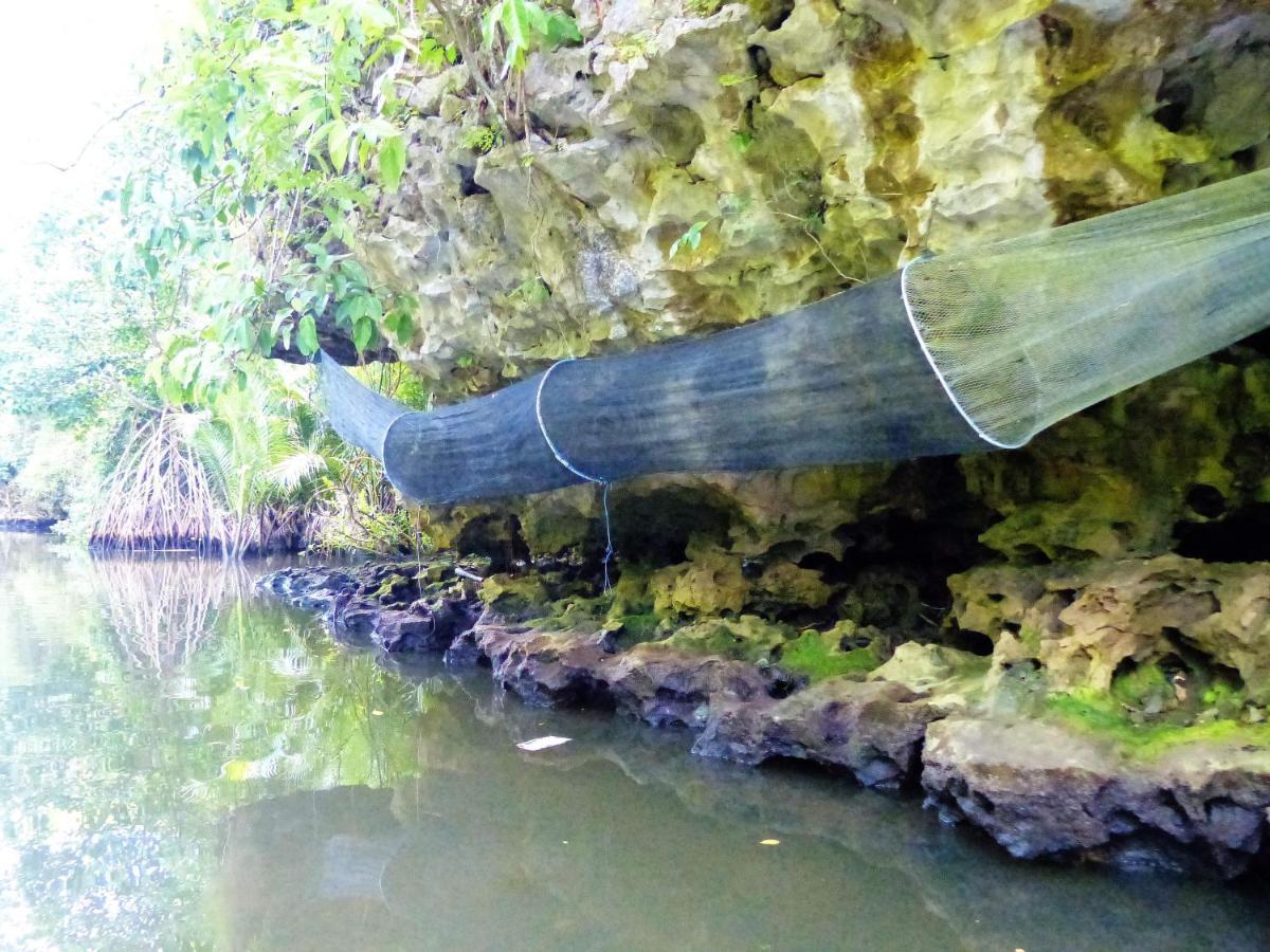 Kampoeng Karst Rammang Rammang Guest House Kasijala Eksteriør bilde