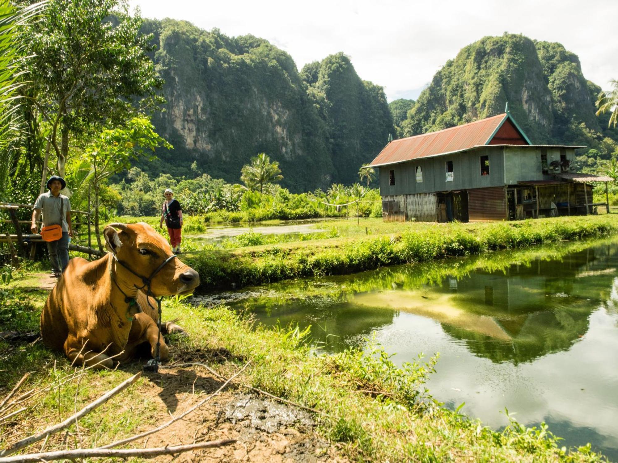 Kampoeng Karst Rammang Rammang Guest House Kasijala Eksteriør bilde